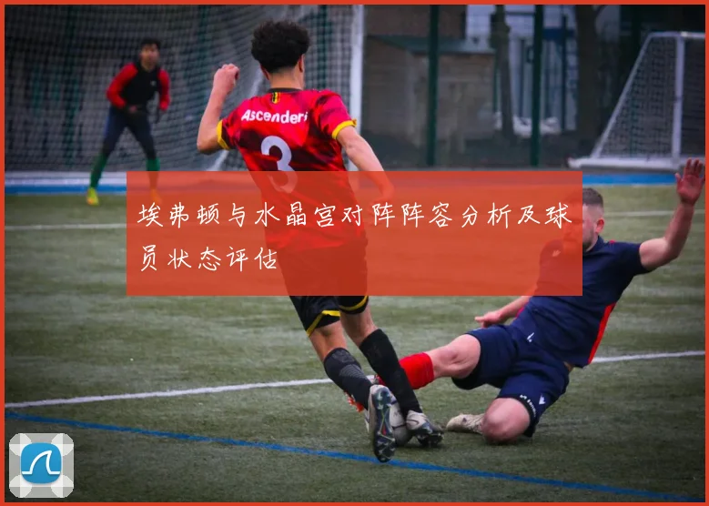 埃弗顿与水晶宫对阵阵容分析及球员状态评估