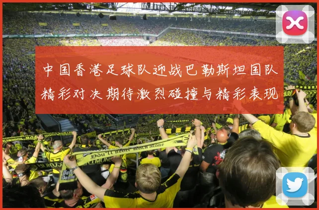 中国香港足球队迎战巴勒斯坦国队精彩对决期待激烈碰撞与精彩表现