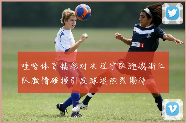 哇哈体育精彩对决辽宁队迎战浙江队激情碰撞引发球迷热烈期待