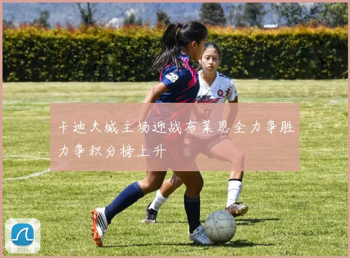 卡迪夫城主场迎战布莱恩全力争胜力争积分榜上升