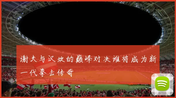 谢夫与汉坎的巅峰对决谁将成为新一代拳击传奇