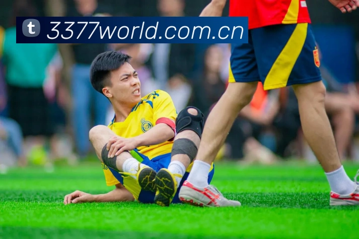 3377体育平台生态图